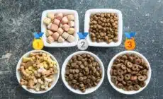 Comparatif exhaustif des croquettes Ownat : nutrition et bienfaits pour votre animal