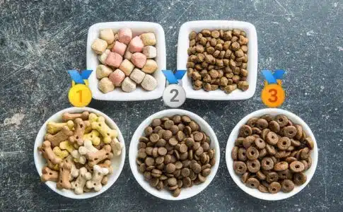 Comparatif exhaustif des croquettes Ownat : nutrition et bienfaits pour votre animal