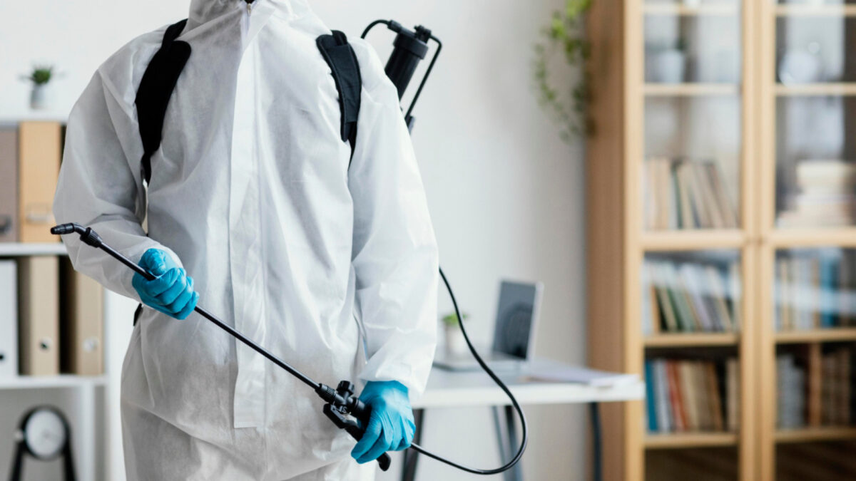 Dératisation : l'importance d'une intervention professionnelle pour éliminer tous les nuisibles