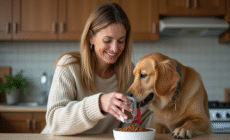 Femme avec chien golden retriever dans la cuisine moderne